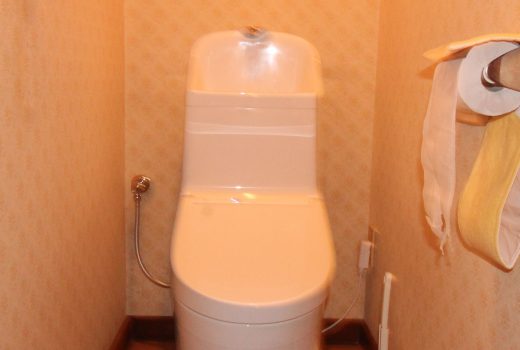 ピカピカ✨トイレが嬉しい🚽