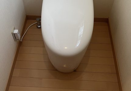 節水しながらしっかり流せるトイレ🚽