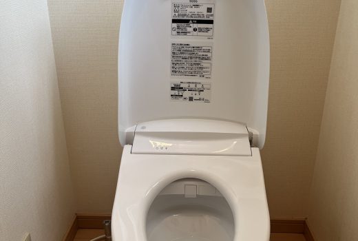 節水しながらしっかり流せるトイレ🚽