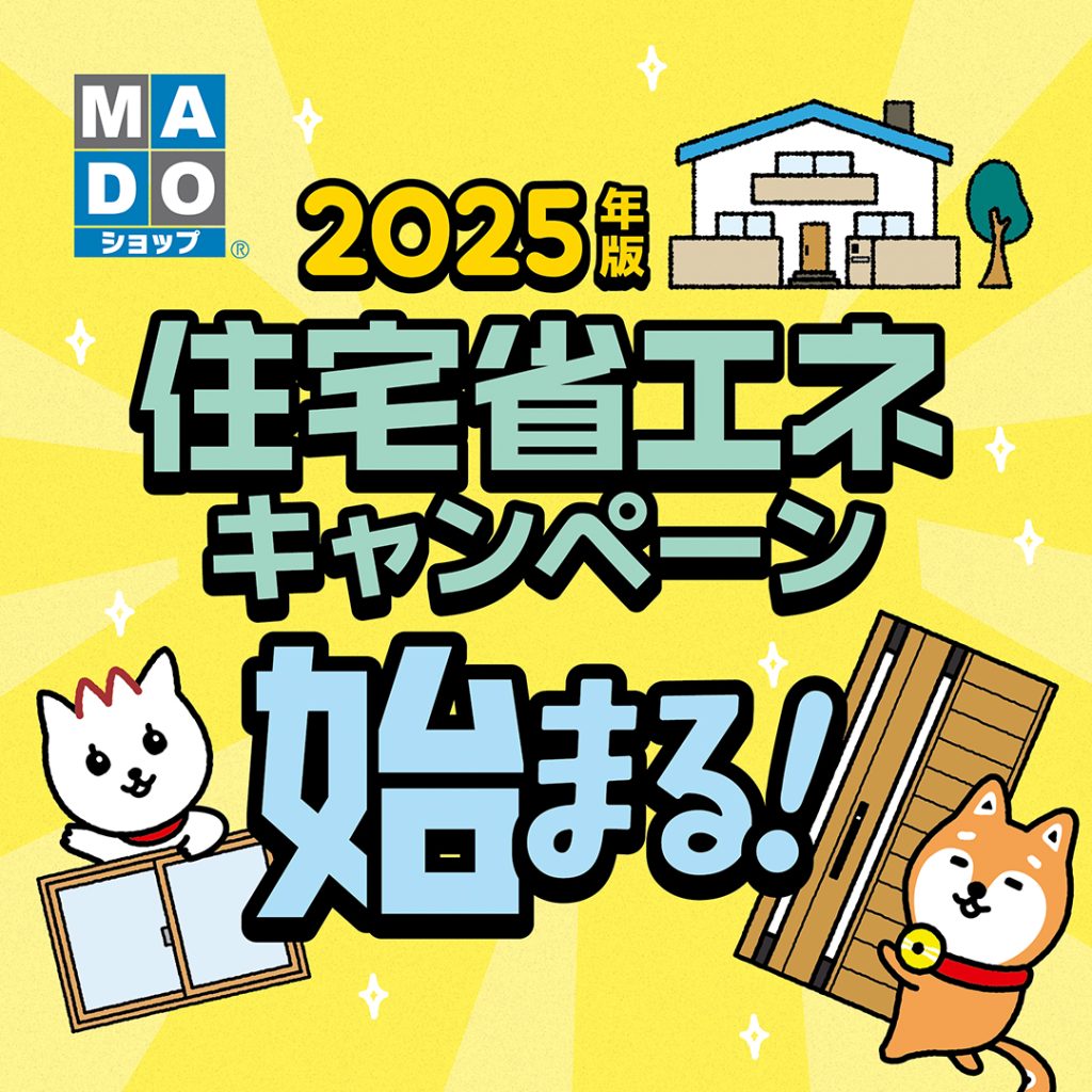 皆様、今年が最後のチャンスです‼️