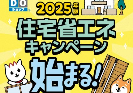 皆様、今年が最後のチャンスです‼️